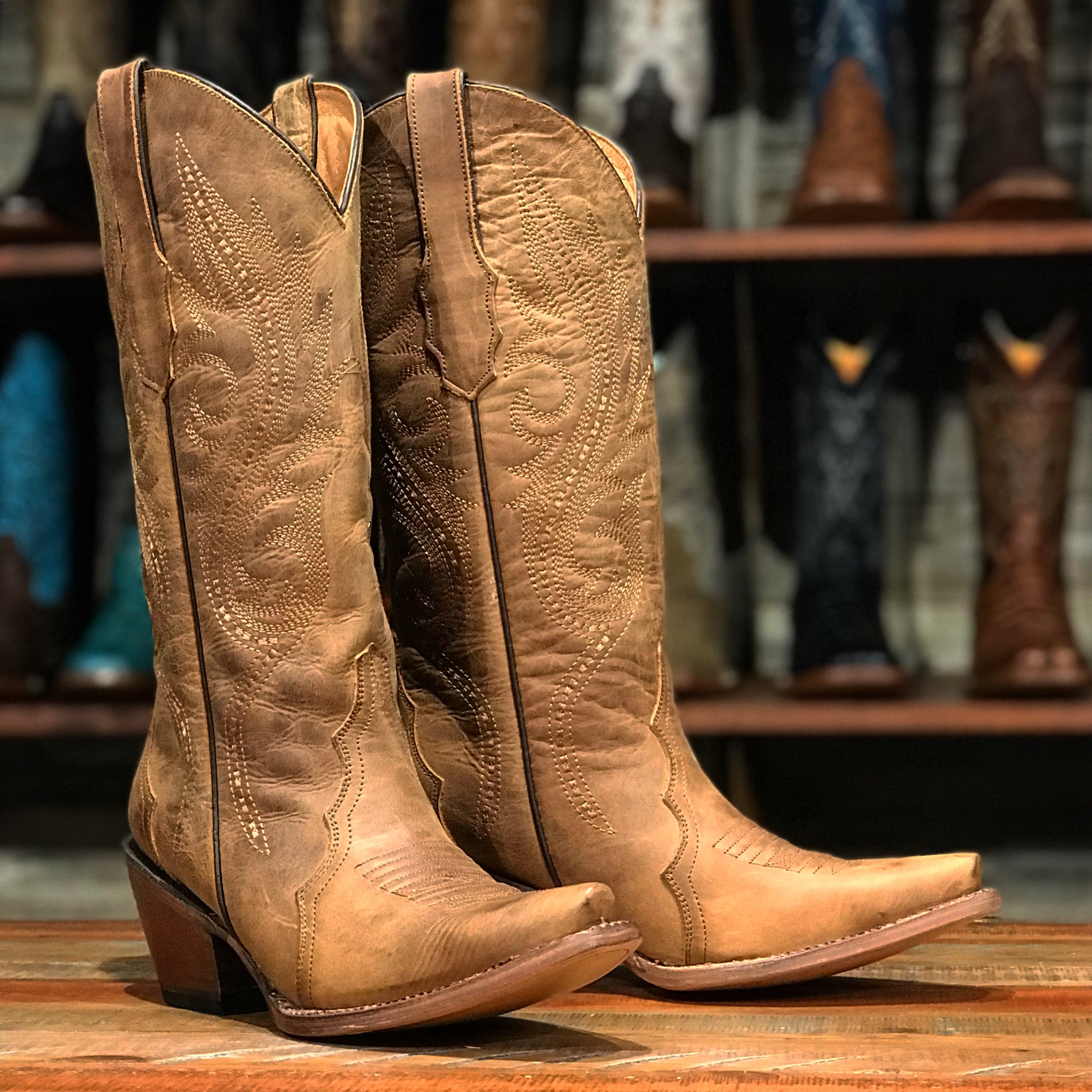ミドルブーツ HOGAN Women Boots HXW6740FL90BYEC415 BEIGE Women's Boots: shoes with heels